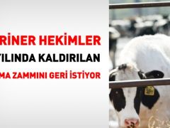 Veteriner hekimler de yıpranma zammı istiyor