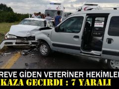 Göreve giden veteriner hekimler kaza geçirdi: 7 yaralı