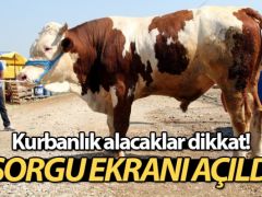 Kurbanlık alacaklar dikkat! Sorgu ekranı açıldı