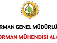 Orman Genel Müdürlüğü Orman mühendisi alacak