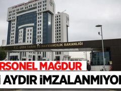 Tarım Bakanlığı personeli nakil sonuçlarını bekliyor