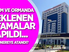 Tarım ve Orman Bakanlığında yeni genel müdür yardımcıları atandı!