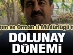 Isparta Tarım ve Orman İl Müdürlüğü’ne Dolunay atandı