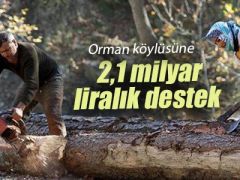 Ormanların geliştirilmesi için 459 milyon liralık destek