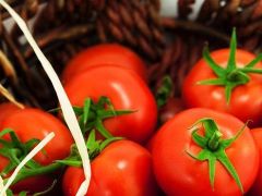 Rusya, Türkiye’den domates ithalatını 2 kat artırıyor
