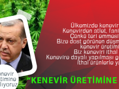 Türkiye kenevir üretimine başlıyor