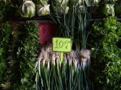 Aralık’ta en fazla yeşil soğanın fiyatı arttı