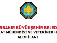 Diyarbakır Büyükşehir Belediyesi Personel Alacak