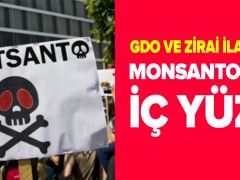 GDO ve zirai ilaç devi Monsanto’nun iç yüzü