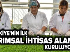 Türkiye’nin ilk Tarımsal İhtisas Alanı nerede kurulacak?