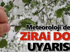 Meteoroloji’den zirai don uyarısı!