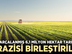 Parçalanmış 6,1 Milyon Hektar Tarım Arazisi Birleştirildi