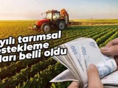 Çiftçinin merakla beklediği Tarımsal Destekleme Kararı yayımlandı