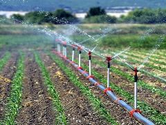 Manisa’da sulu tarımla ekonomiye 336 milyon lira katkı
