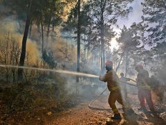 Antalya’da orman yangınlarıyla mücadele eğitimi