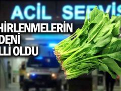 İstanbul’daki gıda zehirlenmesi