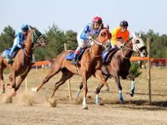 Kovid-19 tedbirleri kapsamında “at yarışları” da ertelendi