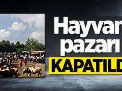 Hayvan pazarları Geçici olarak kapatılıyor