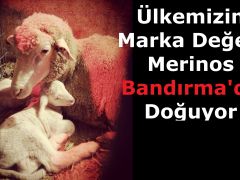 Ülkemizin Marka Değeri Merinos Bandırma’da Doğuyor